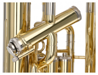 Vorschau: B-Euphonium Reisser Vorschau: B-Euphonium Reisser Academia REU-621 Gen. II