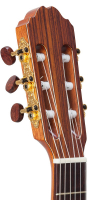 Vorschau: Konzertgitarre Kremona Vorschau: Konzertgitarre Kremona Verea