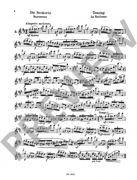 Etüden für Flöte 25 Romantische Etüden op. 66