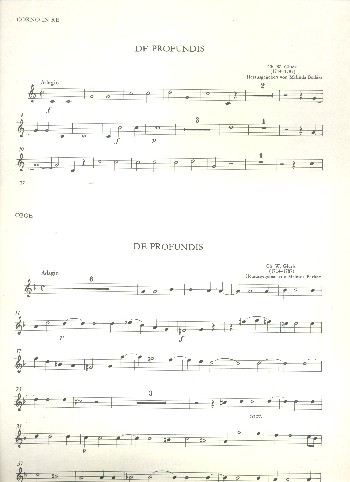 De Profundis für gem Chor und Orchester