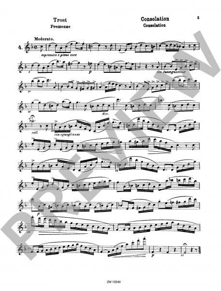 Etüden für Flöte 25 Romantische Etüden op. 66