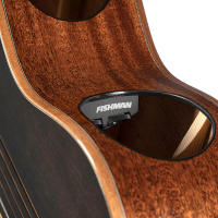 Vorschau: Westerngitarre Cort Vorschau: Westerngitarre Cort Modern Black