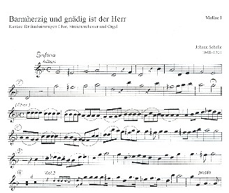 Barmherzig und gnädig ist der Herr für gem Chor, Streicher und Orgel