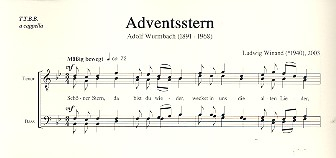 Adventsstern für Männerchor a cappella