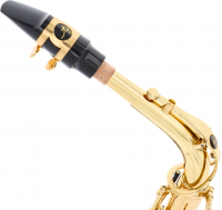 Vorschau: Es-Alt-Saxophon Trevor Vorschau: Es-Alt-Saxophon Trevor James Alphasax Mietrückläufer