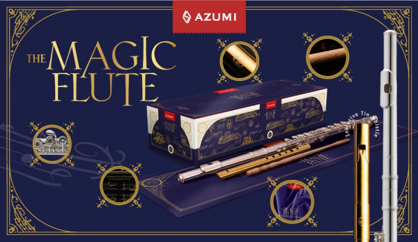 C-Querflöte Azumi AZ-Z2RE-GP MAGIC FLUTE BOX