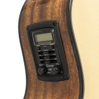 Vorschau: Westerngitarre Crafter Vorschau: Westerngitarre Crafter ABLE G600CE N