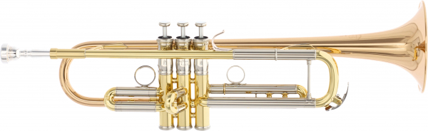 B-Trompete YAMAHA YTR-8345RG Gebrauchtinstrument