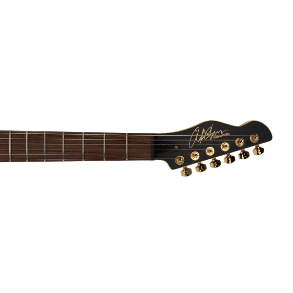 E- Gitarre Chapman Chris Robertson - Slate Black