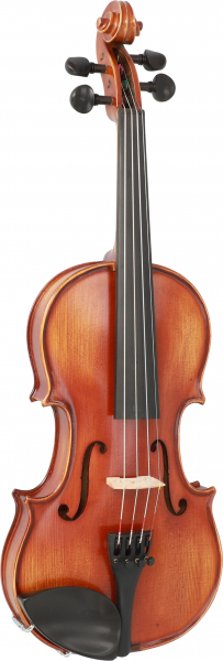 Violingarnitur Reisser Academia Pro 1/2