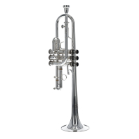 Vorschau: Es/D-Trompete Stomvi Vorschau: Es/D-Trompete Stomvi Titan 5521