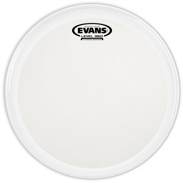 Snare Fell Evans Orchestral Staccato Coated 14"