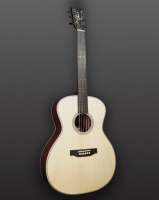 Vorschau: Westerngitarre Vorschau: Westerngitarre You's Guitars GA25E Pa Story Series