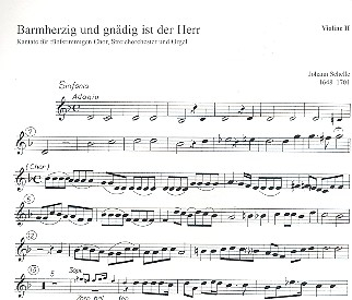 Barmherzig und gnädig ist der Herr für gem Chor, Streicher und Orgel