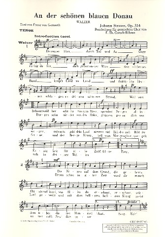 An der schönen blauen Donau op.314 für gem Chor und Klavier